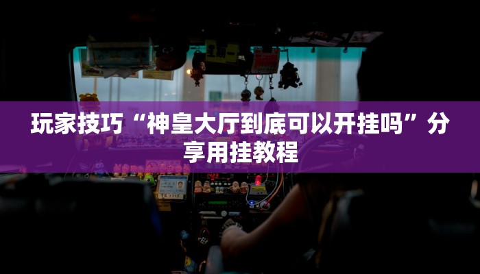 玩家技巧“神皇大厅到底可以开挂吗”分享用挂教程 玩家技巧“神皇大厅到底可以开挂吗”分享用挂教程