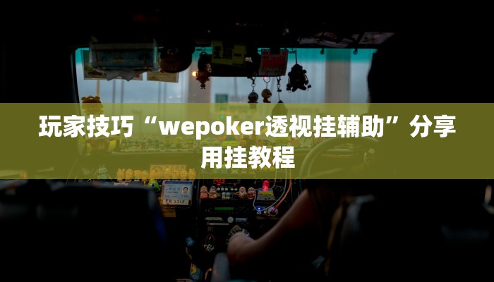 玩家技巧“wepoker透视挂辅助”分享用挂教程 玩家技巧“wepoker透视挂辅助”分享用挂教程