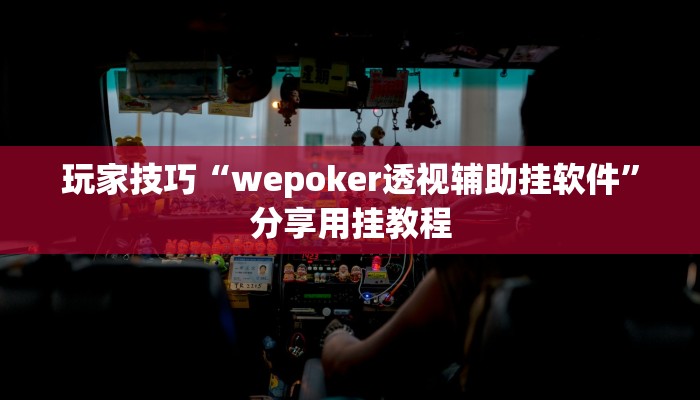 玩家技巧“wepoker透视辅助挂软件”分享用挂教程