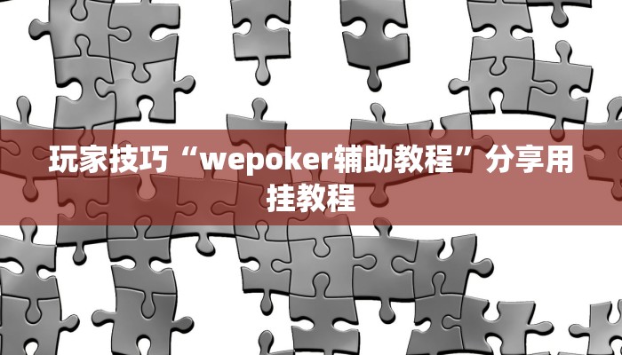 玩家技巧“wepoker辅助教程”分享用挂教程